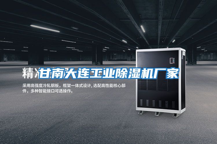 甘南大連工業(yè)除濕機廠家
