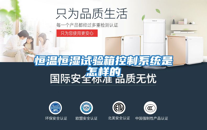 恒溫恒濕試驗箱控制系統是怎樣的