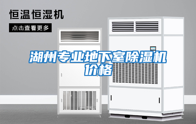 湖州專業(yè)地下室除濕機價格