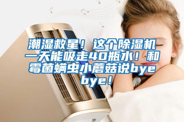 潮濕救星！這個除濕機一天能吸走40瓶水！和霉菌螨蟲小蘑菇說bye bye！