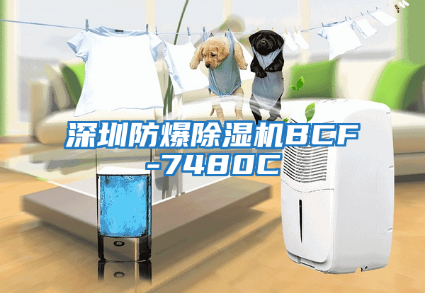 深圳防爆除濕機BCF-7480C
