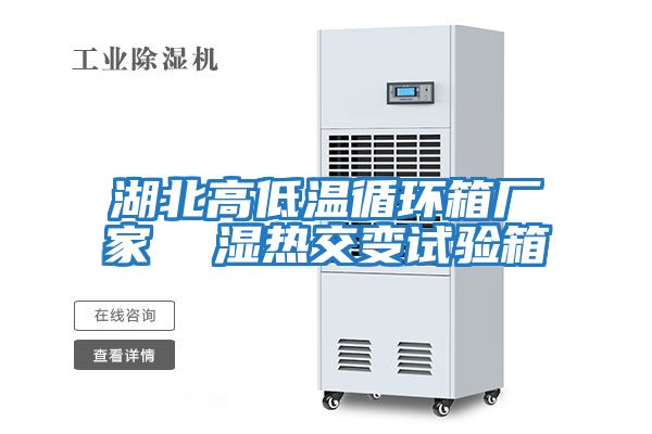湖北高低溫循環箱廠家  濕熱交變試驗箱