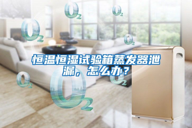 恒溫恒濕試驗箱蒸發器泄漏，怎么辦？