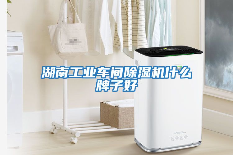 湖南工業車間除濕機什么牌子好