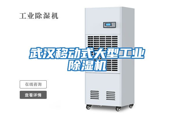 武漢移動式大型工業除濕機