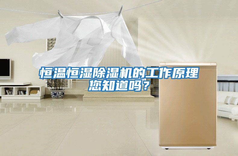 恒溫恒濕除濕機(jī)的工作原理您知道嗎？