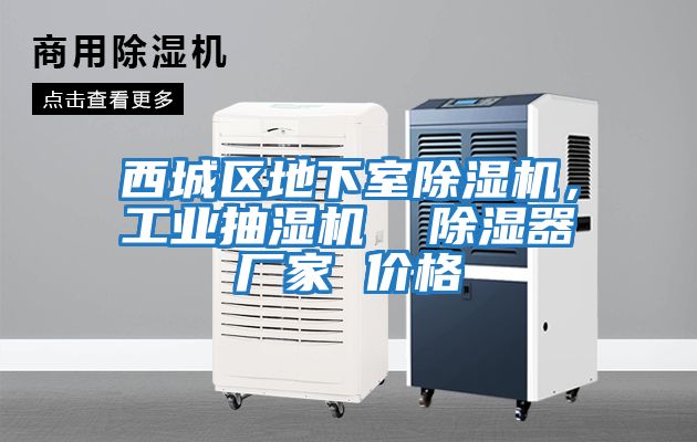 西城區(qū)地下室除濕機(jī)，工業(yè)抽濕機(jī)  除濕器廠家 價(jià)格