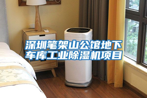 深圳筆架山公館地下車庫工業除濕機項目