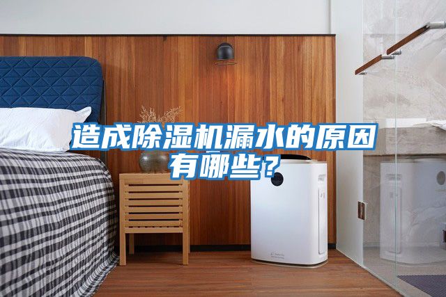 造成除濕機漏水的原因有哪些？