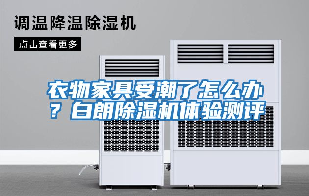 衣物家具受潮了怎么辦?白朗除濕機(jī)體驗(yàn)測(cè)評(píng)