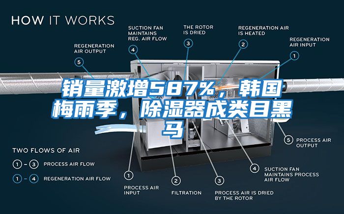 銷量激增587%，韓國梅雨季，除濕器成類目黑馬