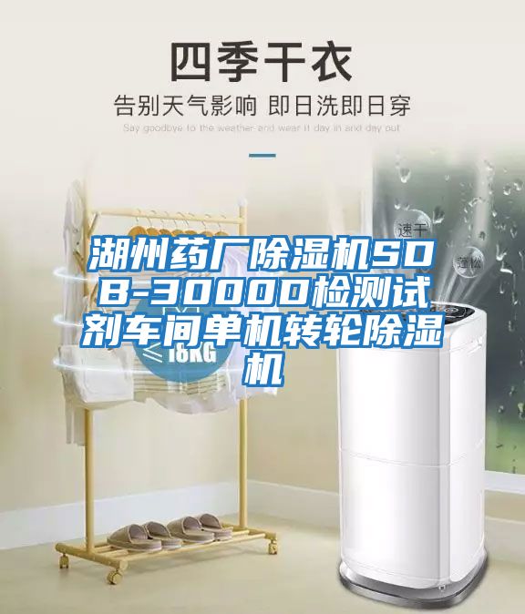 湖州藥廠除濕機SDB-3000D檢測試劑車間單機轉輪除濕機