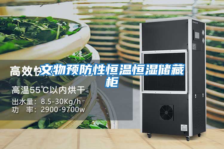 文物預防性恒溫恒濕儲藏柜