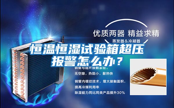 恒溫恒濕試驗(yàn)箱超壓報(bào)警怎么辦？
