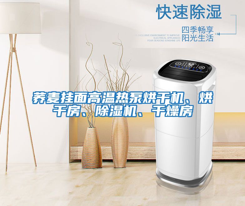 蕎麥掛面高溫熱泵烘干機、烘干房、除濕機、干燥房
