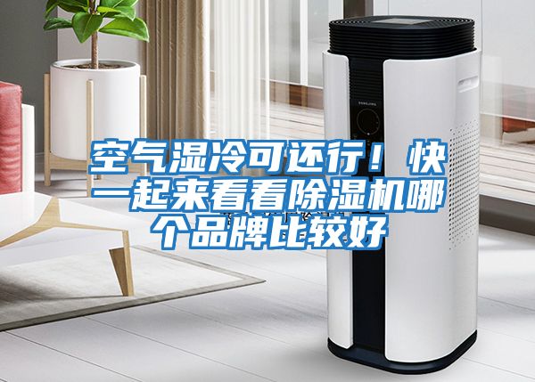 空氣濕冷可還行!快一起來看看除濕機哪個品牌比較好