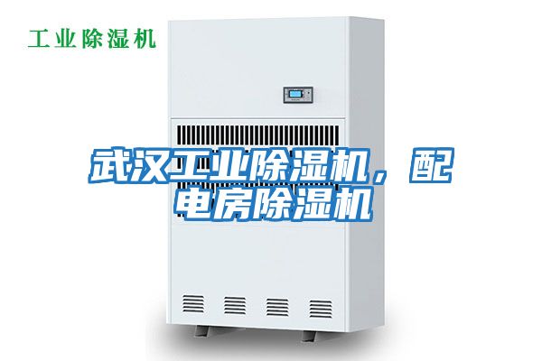 武漢工業除濕機，配電房除濕機