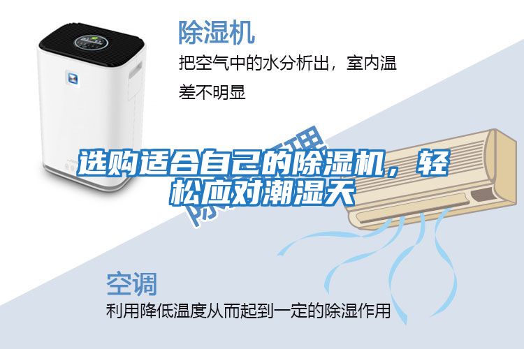 選購適合自己的除濕機，輕松應對潮濕天