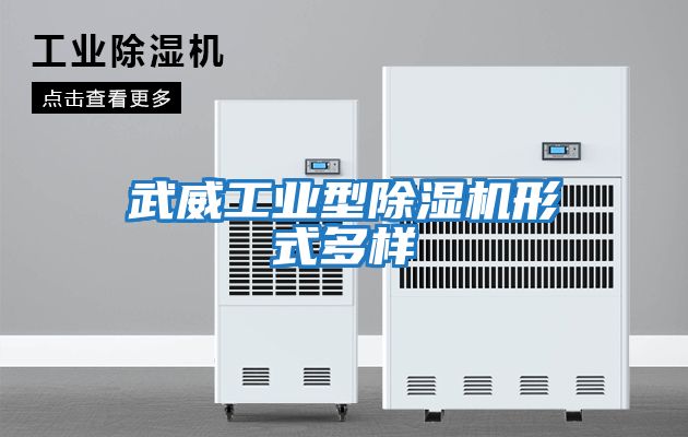 武威工業型除濕機形式多樣