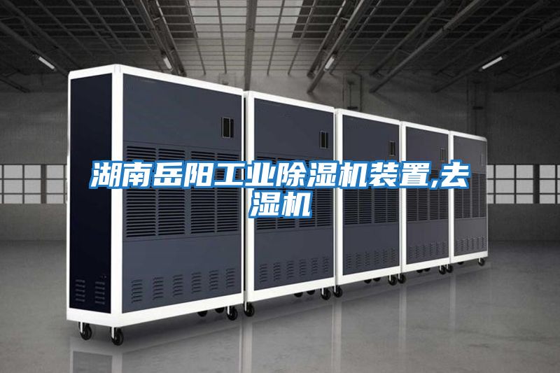 湖南岳陽工業除濕機裝置,去濕機