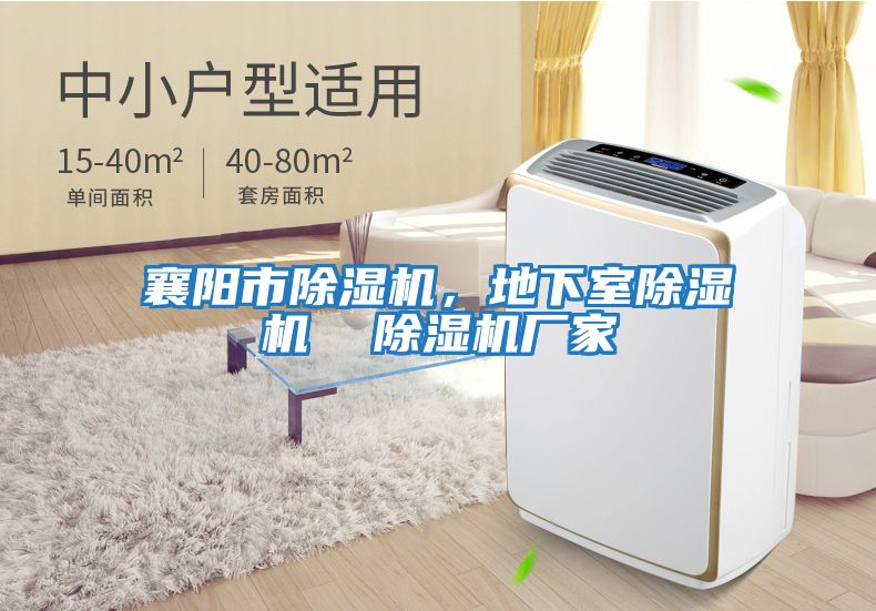 襄陽市除濕機(jī)，地下室除濕機(jī)  除濕機(jī)廠家