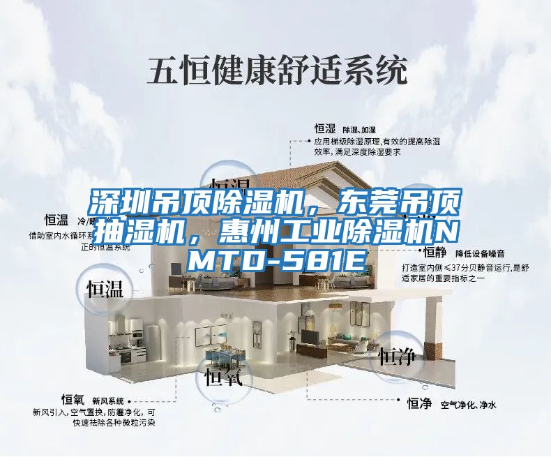 深圳吊頂除濕機,東莞吊頂抽濕機,惠州工業除濕機NMTD-581E