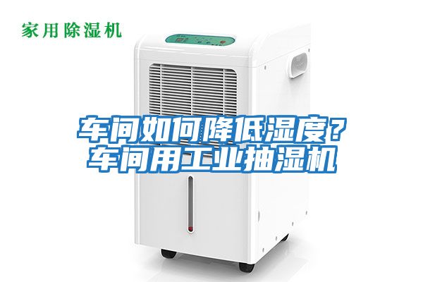 車間如何降低濕度?車間用工業(yè)抽濕機(jī)