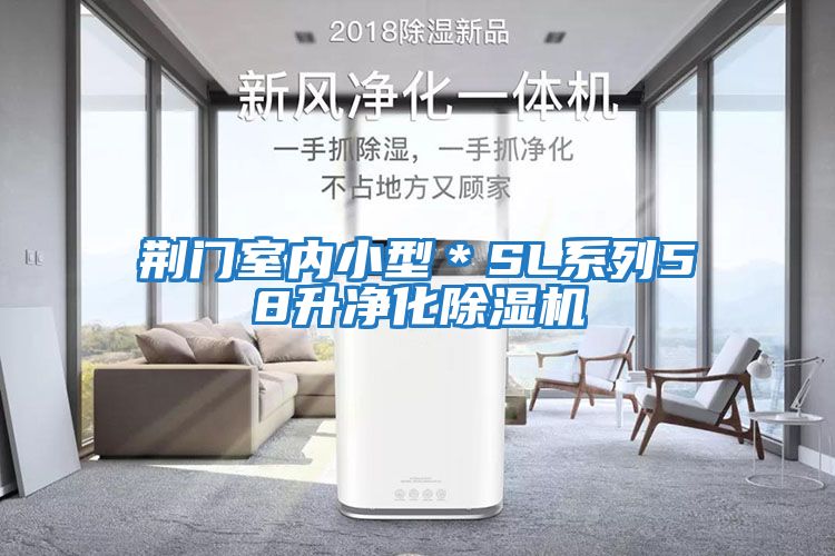 荊門室內小型*SL系列58升凈化除濕機