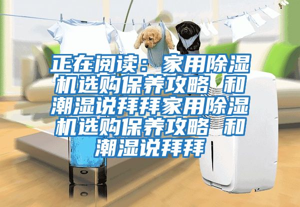 正在閱讀：家用除濕機選購保養攻略 和潮濕說拜拜家用除濕機選購保養攻略 和潮濕說拜拜