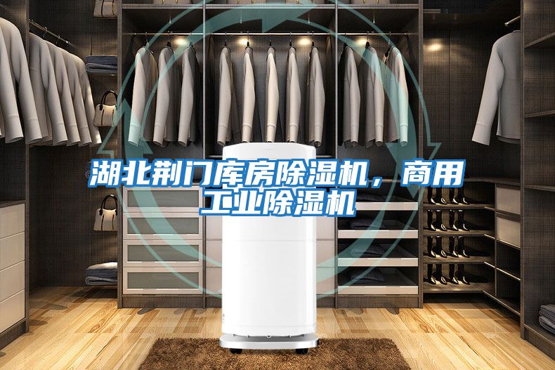 湖北荊門庫房除濕機，商用工業除濕機