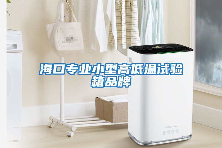 海口專業(yè)小型高低溫試驗(yàn)箱品牌