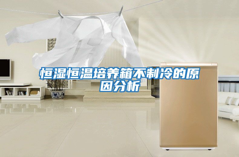 恒濕恒溫培養箱不制冷的原因分析
