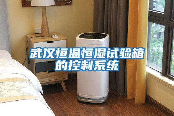 武漢恒溫恒濕試驗箱的控制系統