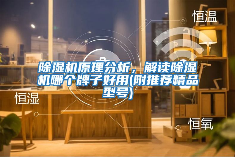 除濕機原理分析,解讀除濕機哪個牌子好用(附推薦精品型號)