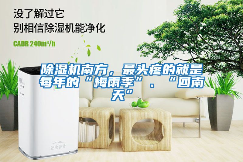 除濕機(jī)南方,最頭疼的就是每年的“梅雨季”、“回南天”