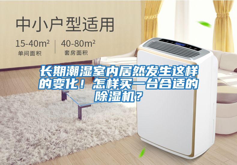 長(zhǎng)期潮濕室內(nèi)居然發(fā)生這樣的變化!怎樣買一臺(tái)合適的除濕機(jī)?