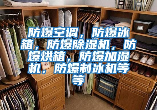 防爆空調，防爆冰箱，防爆除濕機，防爆烘箱，防爆加濕機，防爆制冰機等等