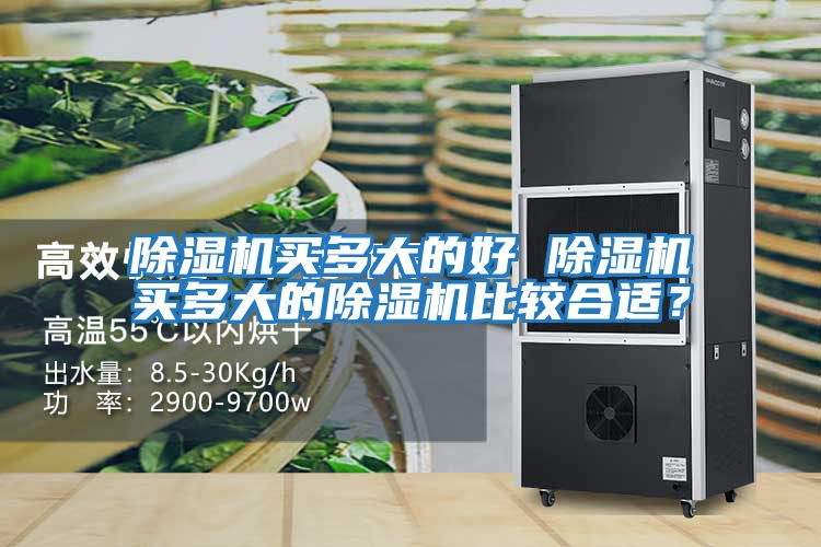 除濕機買多大的好 除濕機買多大的除濕機比較合適？