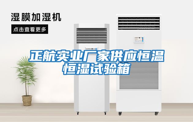 正航實業廠家供應恒溫恒濕試驗箱