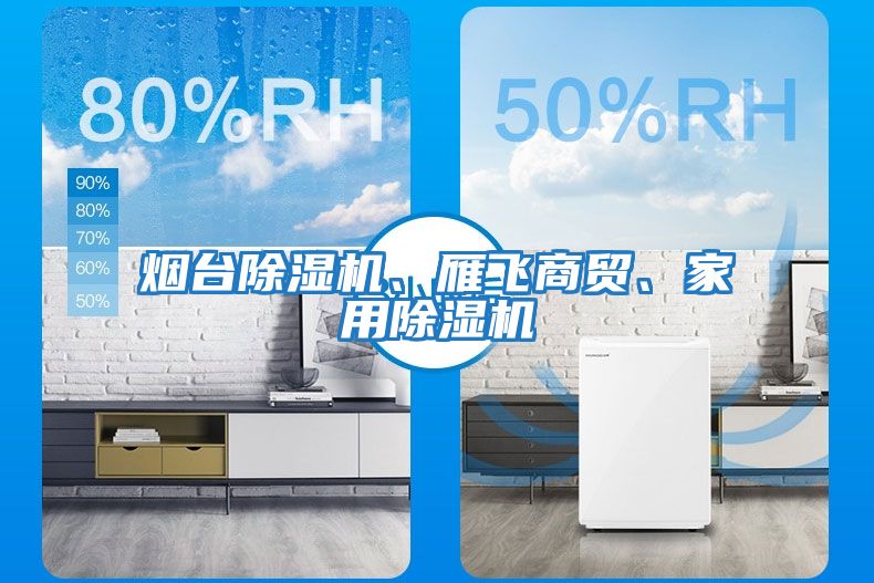 煙臺除濕機、雁飛商貿、家用除濕機