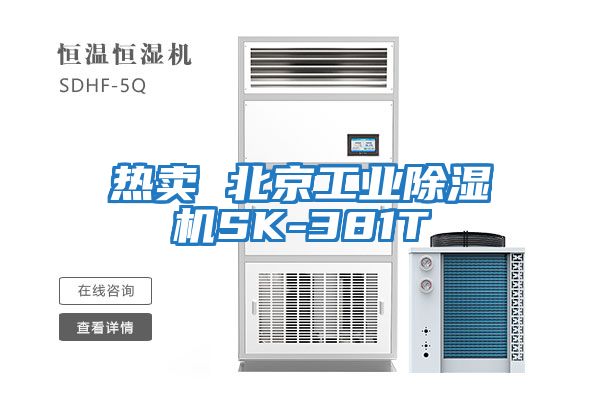 熱賣 北京工業除濕機SK-381T