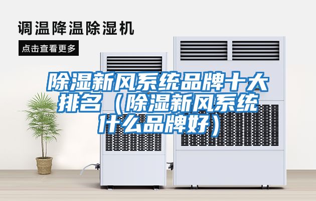 除濕新風系統(tǒng)品牌十大排名(除濕新風系統(tǒng)什么品牌好)