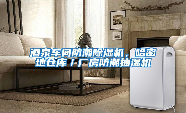 酒泉車間防潮除濕機，哈密地倉庫／廠房防潮抽濕機