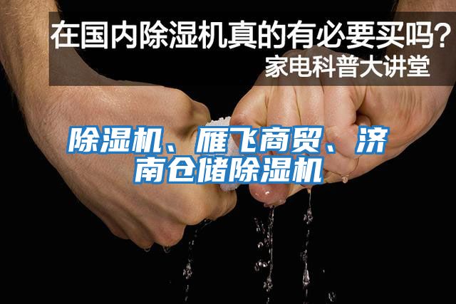 除濕機、雁飛商貿(mào)、濟南倉儲除濕機