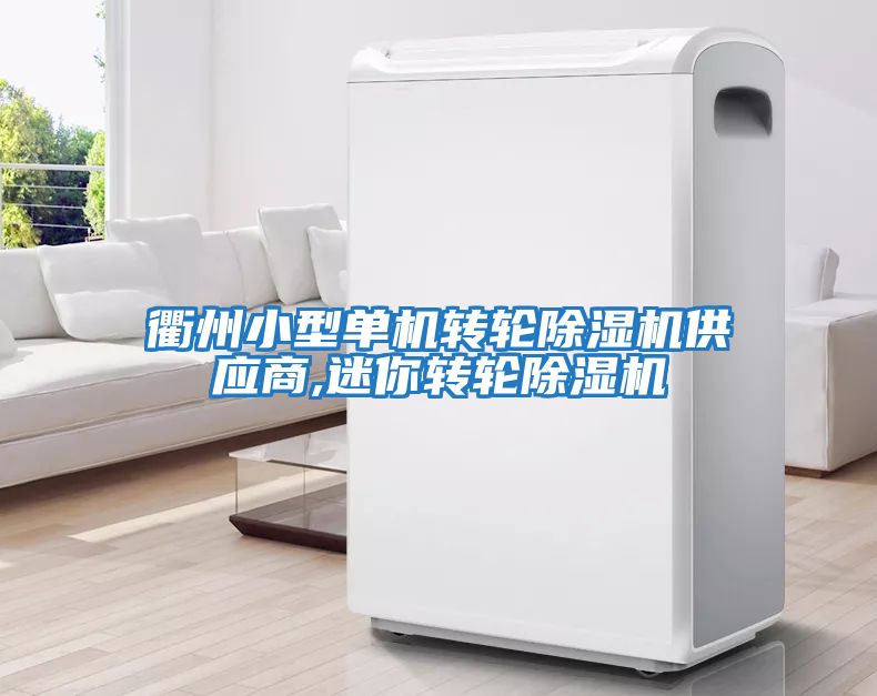 衢州小型單機轉輪除濕機供應商,迷你轉輪除濕機