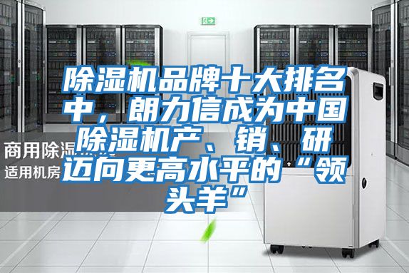 除濕機(jī)品牌十大排名中,朗力信成為中國除濕機(jī)產(chǎn)、銷、研邁向更高水平的“領(lǐng)頭羊”