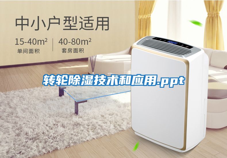 轉(zhuǎn)輪除濕技術(shù)和應用.ppt