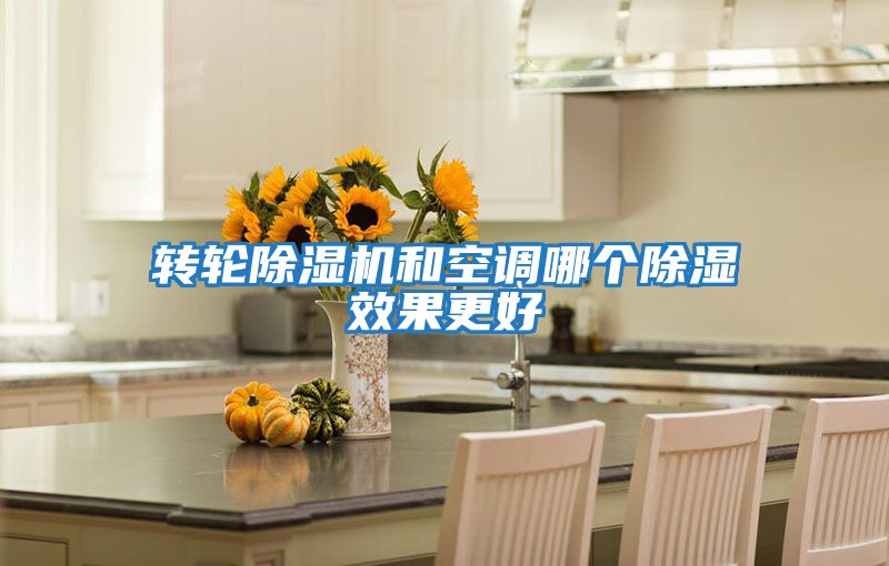 轉輪除濕機和空調哪個除濕效果更好
