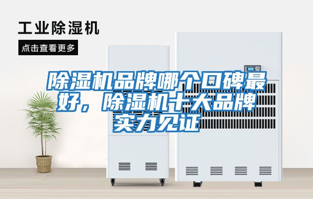 除濕機(jī)品牌哪個口碑最好,除濕機(jī)十大品牌實力見證