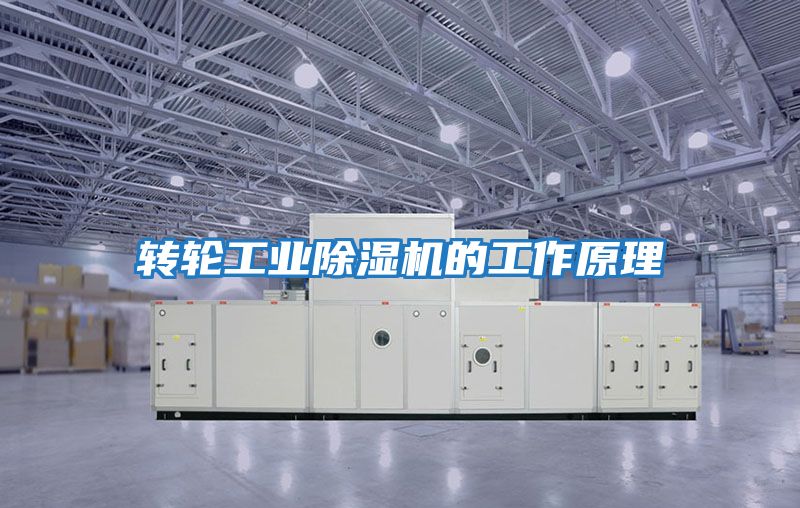 轉輪工業除濕機的工作原理